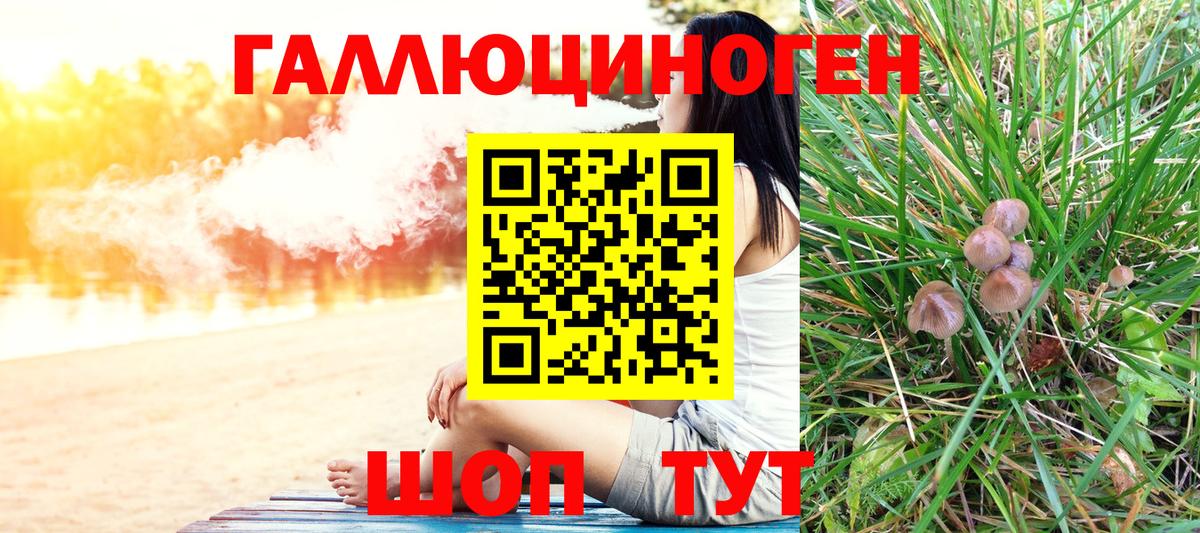 Сегежа  Галлюциногенные грибы мухоморы  Вход с VPN 